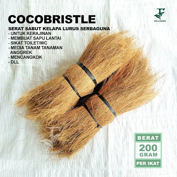 Coco Bristle 3
