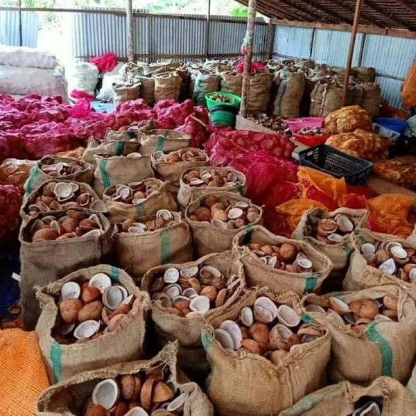 Coconut Copra - Gambar 2